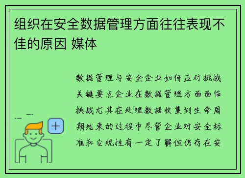 组织在安全数据管理方面往往表现不佳的原因 媒体
